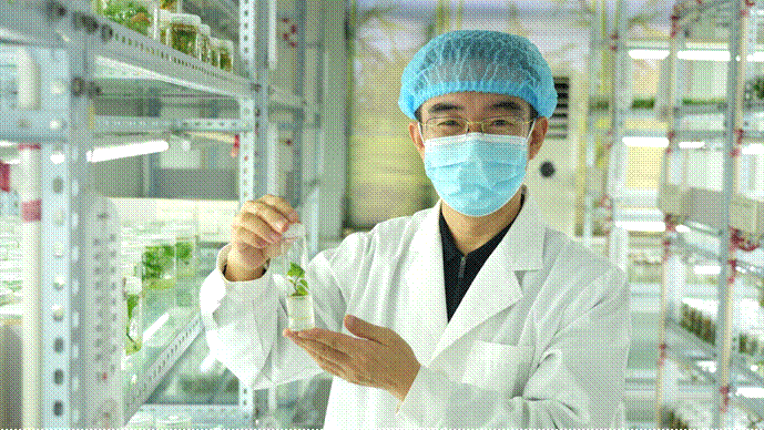 J9����ֱӪ��(�й�)�ٷ���վ