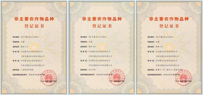 J9����ֱӪ��(�й�)�ٷ���վ