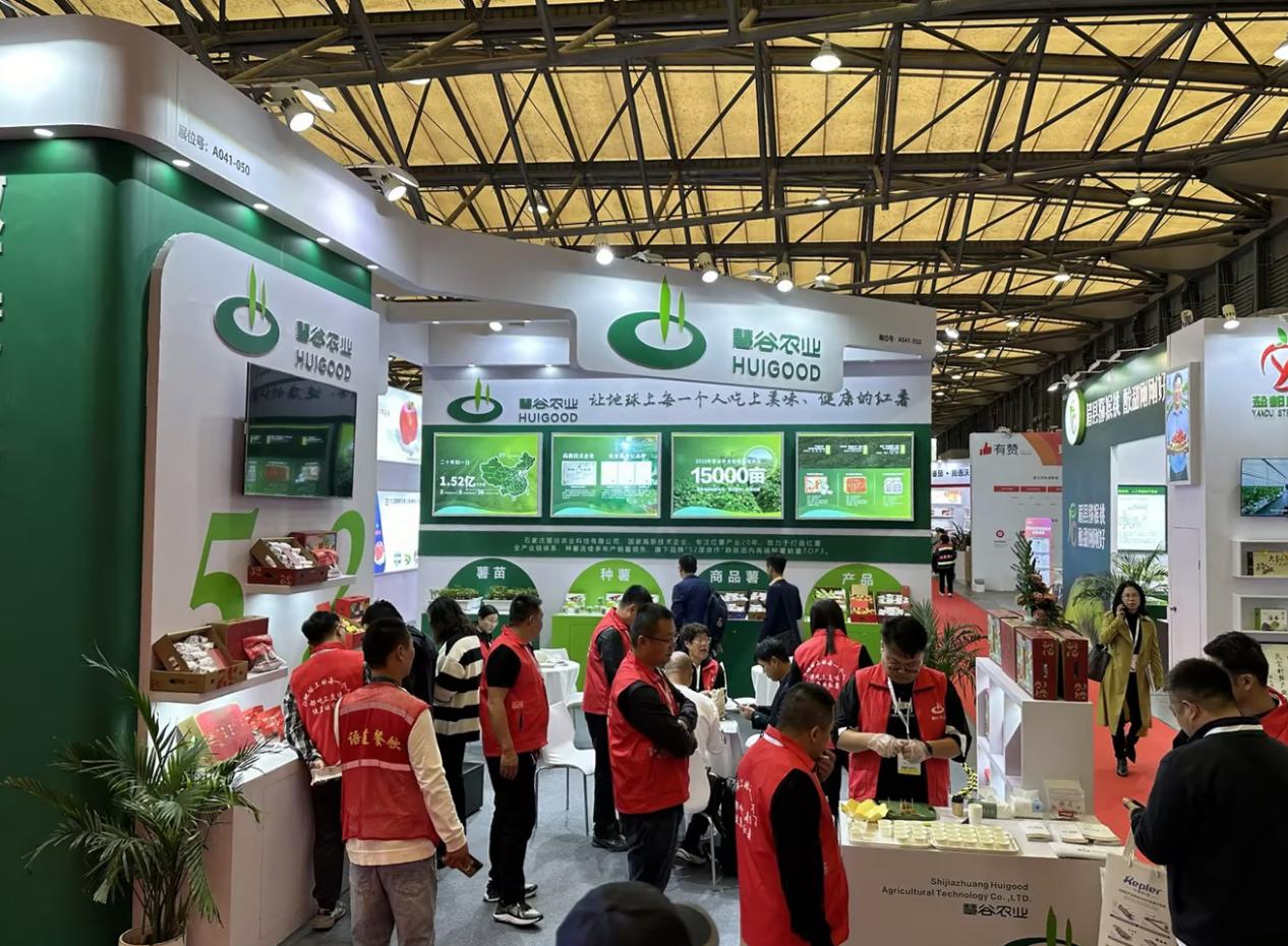 J9����ֱӪ��(�й�)�ٷ���վ