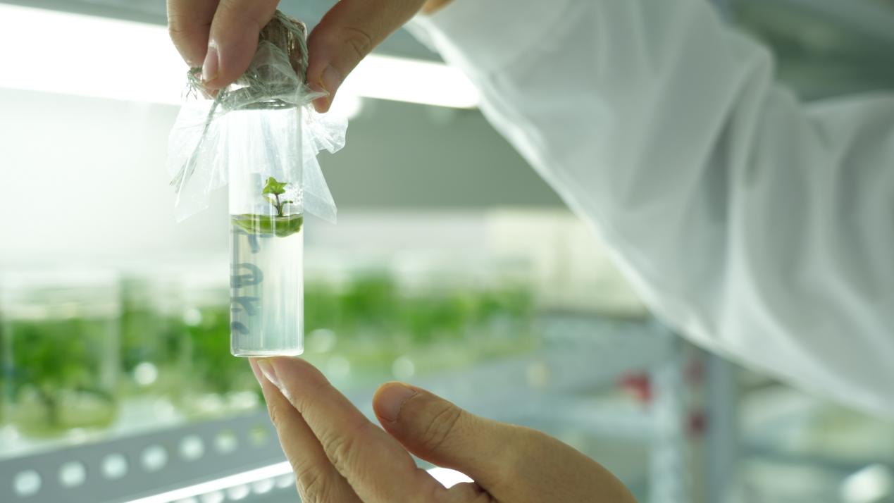 J9����ֱӪ��(�й�)�ٷ���վ