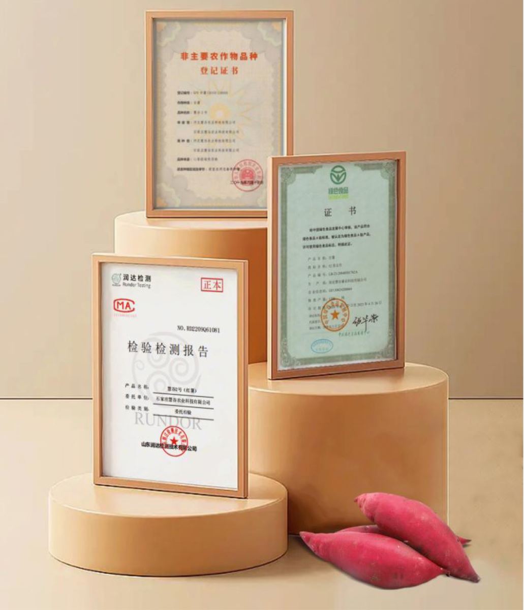 J9����ֱӪ��(�й�)�ٷ���վ