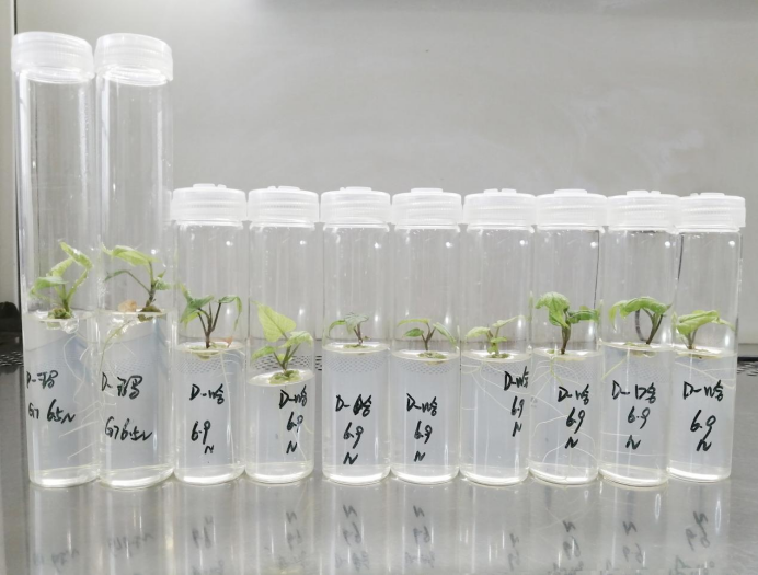 J9����ֱӪ��(�й�)�ٷ���վ