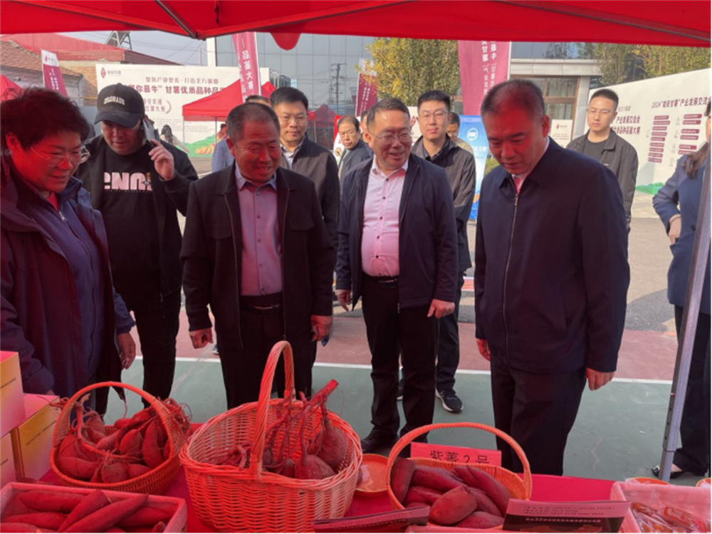 J9����ֱӪ��(�й�)�ٷ���վ