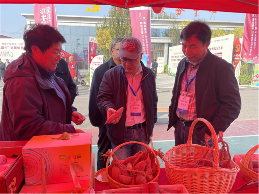 J9����ֱӪ��(�й�)�ٷ���վ