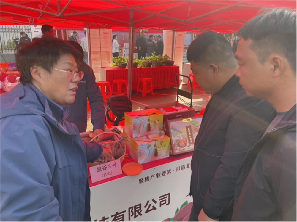 J9����ֱӪ��(�й�)�ٷ���վ