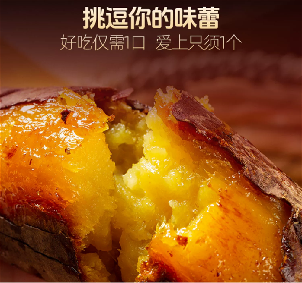 J9����ֱӪ��(�й�)�ٷ���վ