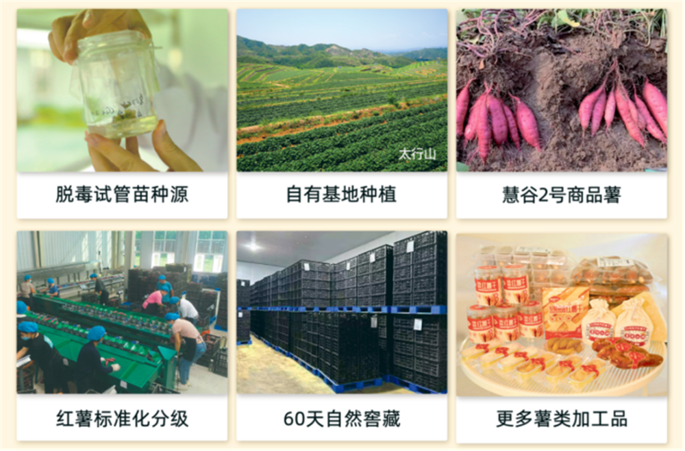 J9����ֱӪ��(�й�)�ٷ���վ