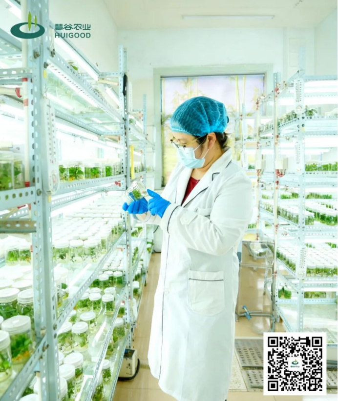 J9����ֱӪ��(�й�)�ٷ���վ