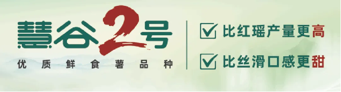 J9����ֱӪ��(�й�)�ٷ���վ