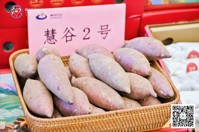 J9����ֱӪ��(�й�)�ٷ���վ