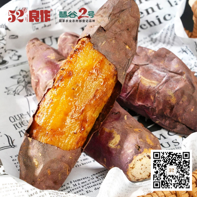 J9����ֱӪ��(�й�)�ٷ���վ