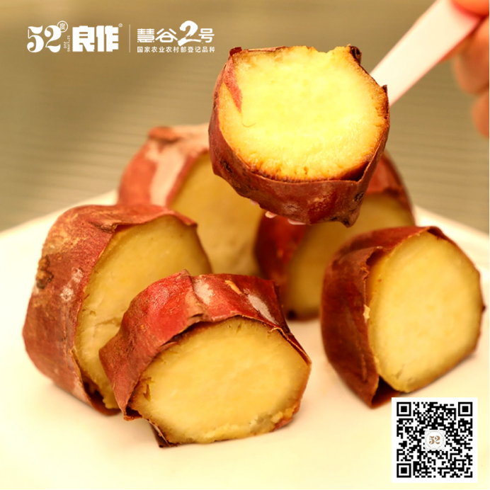 J9����ֱӪ��(�й�)�ٷ���վ