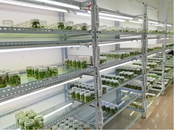 J9����ֱӪ��(�й�)�ٷ���վ