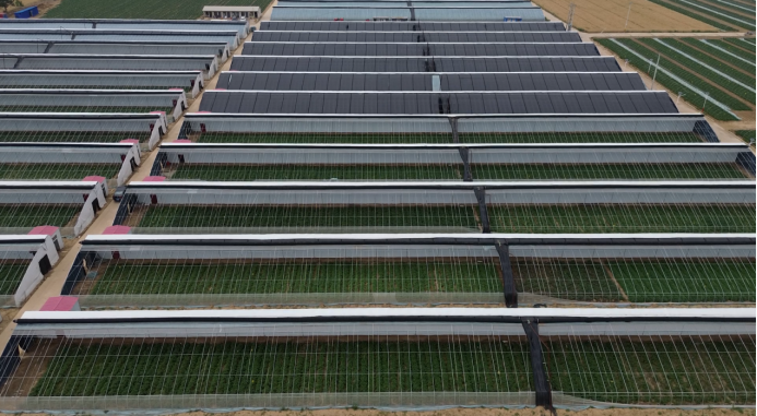 J9����ֱӪ��(�й�)�ٷ���վ