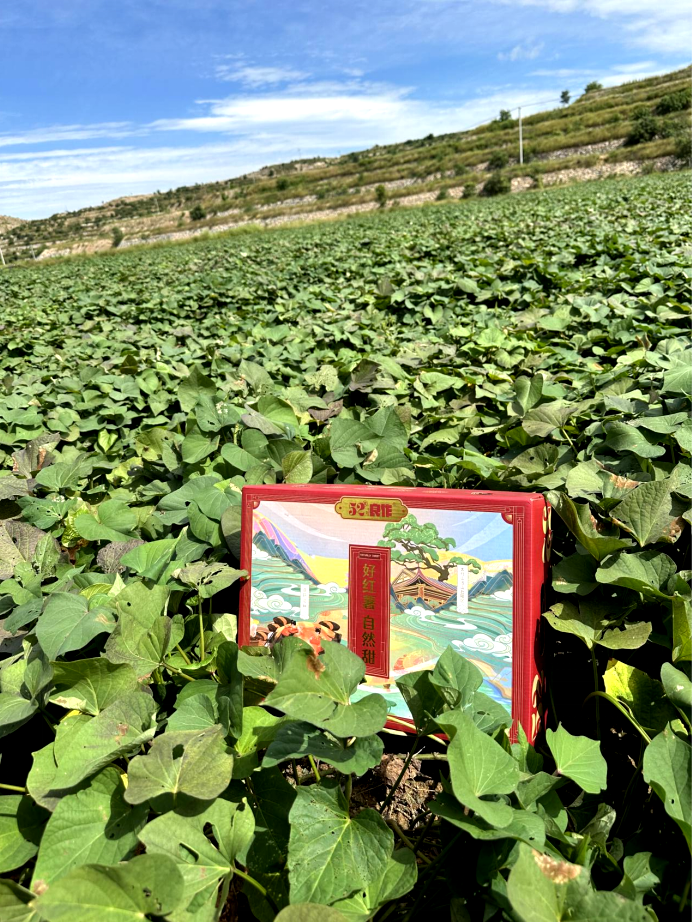 J9����ֱӪ��(�й�)�ٷ���վ