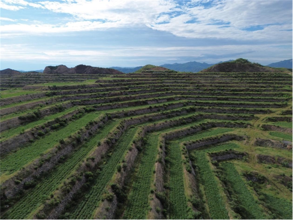 J9����ֱӪ��(�й�)�ٷ���վ