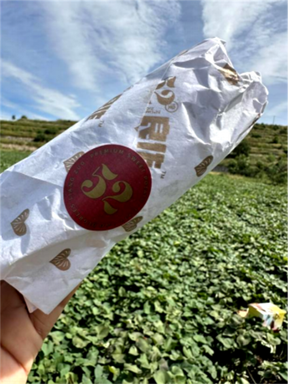 J9����ֱӪ��(�й�)�ٷ���վ