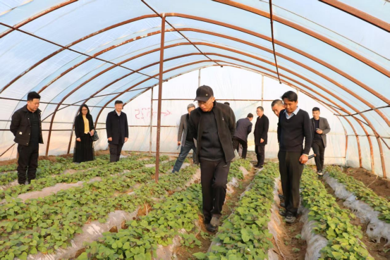 J9����ֱӪ��(�й�)�ٷ���վ