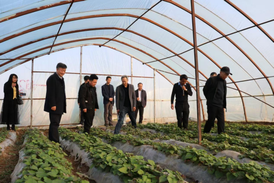 J9����ֱӪ��(�й�)�ٷ���վ