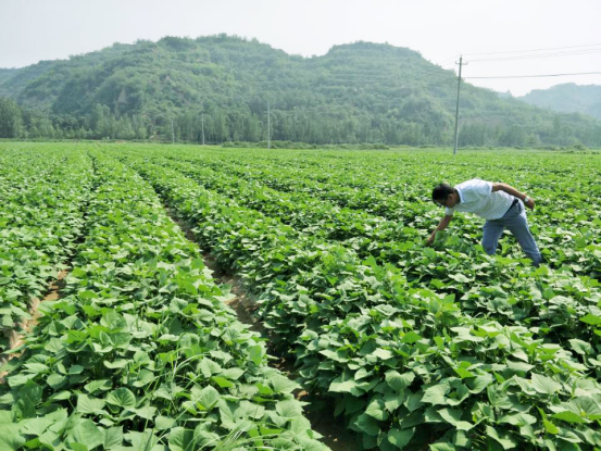 J9����ֱӪ��(�й�)�ٷ���վ