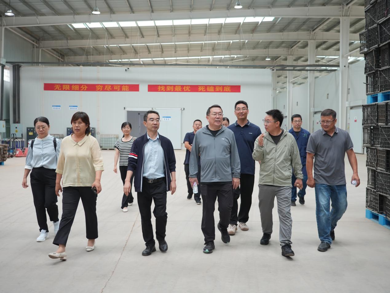 J9����ֱӪ��(�й�)�ٷ���վ