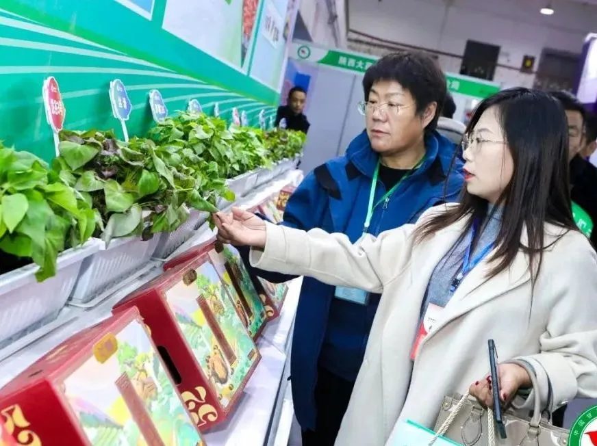 J9����ֱӪ��(�й�)�ٷ���վ