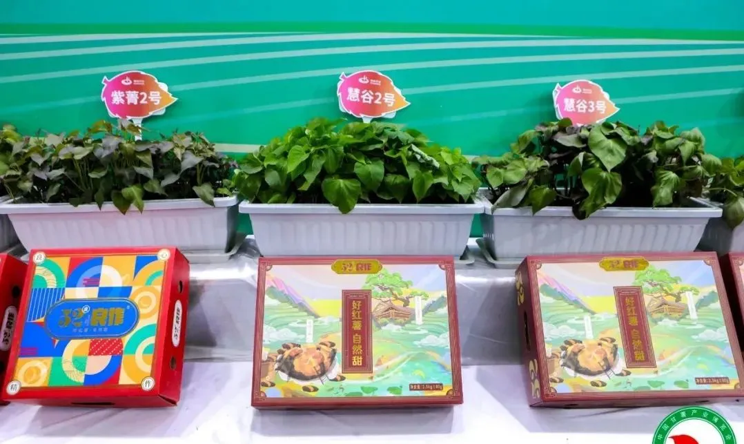 J9����ֱӪ��(�й�)�ٷ���վ