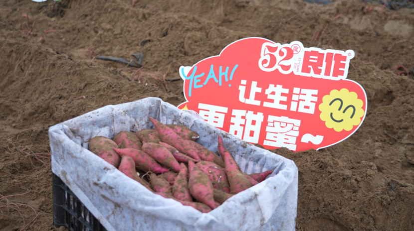 J9����ֱӪ��(�й�)�ٷ���վ