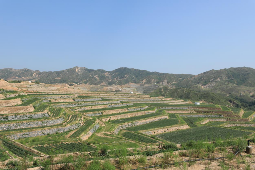 J9����ֱӪ��(�й�)�ٷ���վ