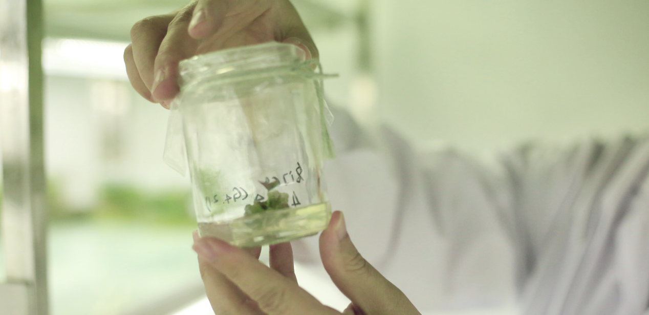 J9����ֱӪ��(�й�)�ٷ���վ