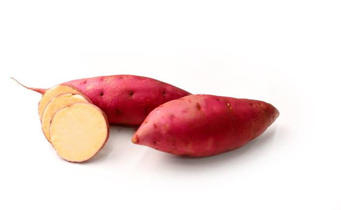 J9����ֱӪ��(�й�)�ٷ���վ