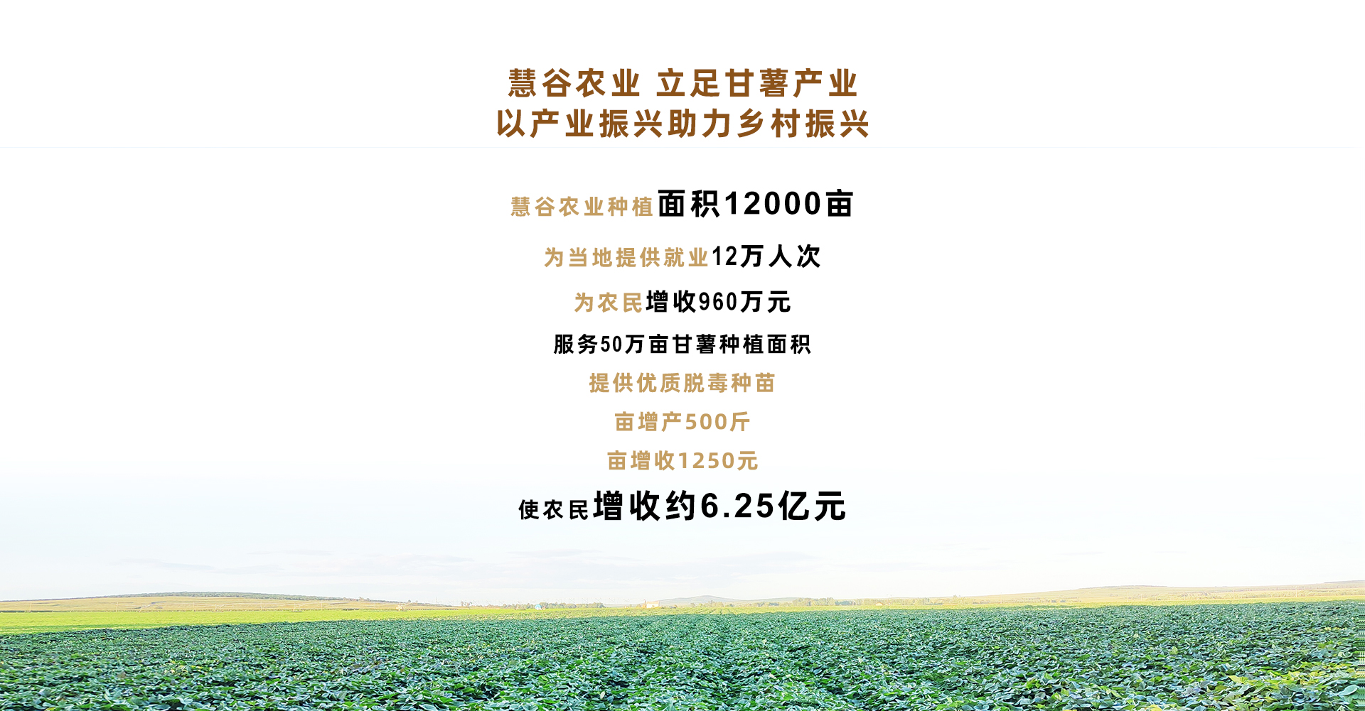 J9����ֱӪ��(�й�)�ٷ���վ