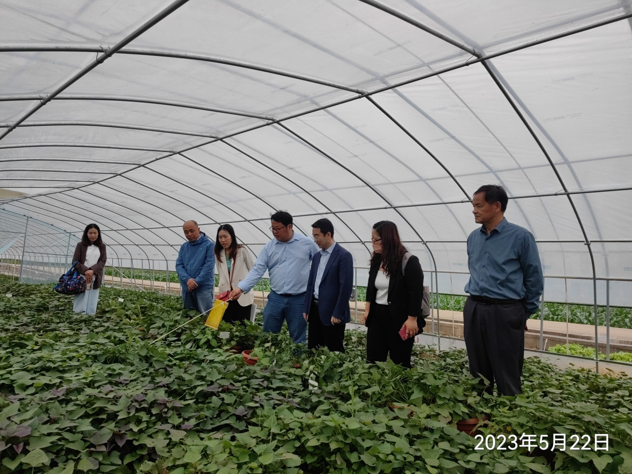 J9����ֱӪ��(�й�)�ٷ���վ